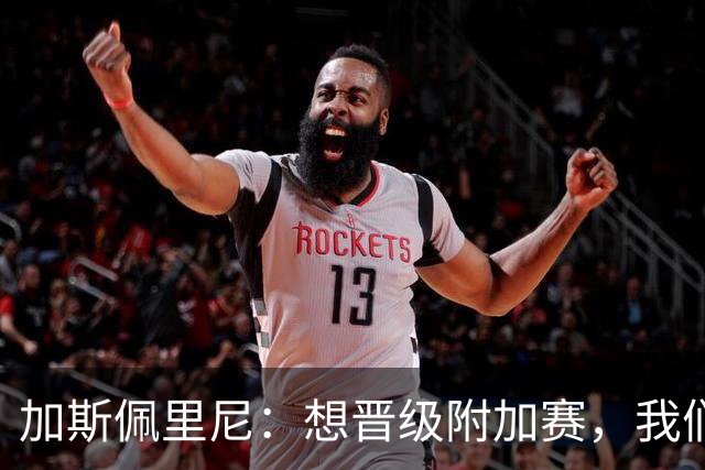 加斯佩里尼：想晋级附加赛，我们得在主场大干一场！